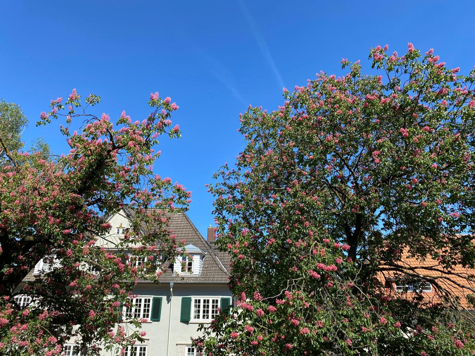 Guest house Helles 1-raum Mit Eigenem Bad & Terasse *